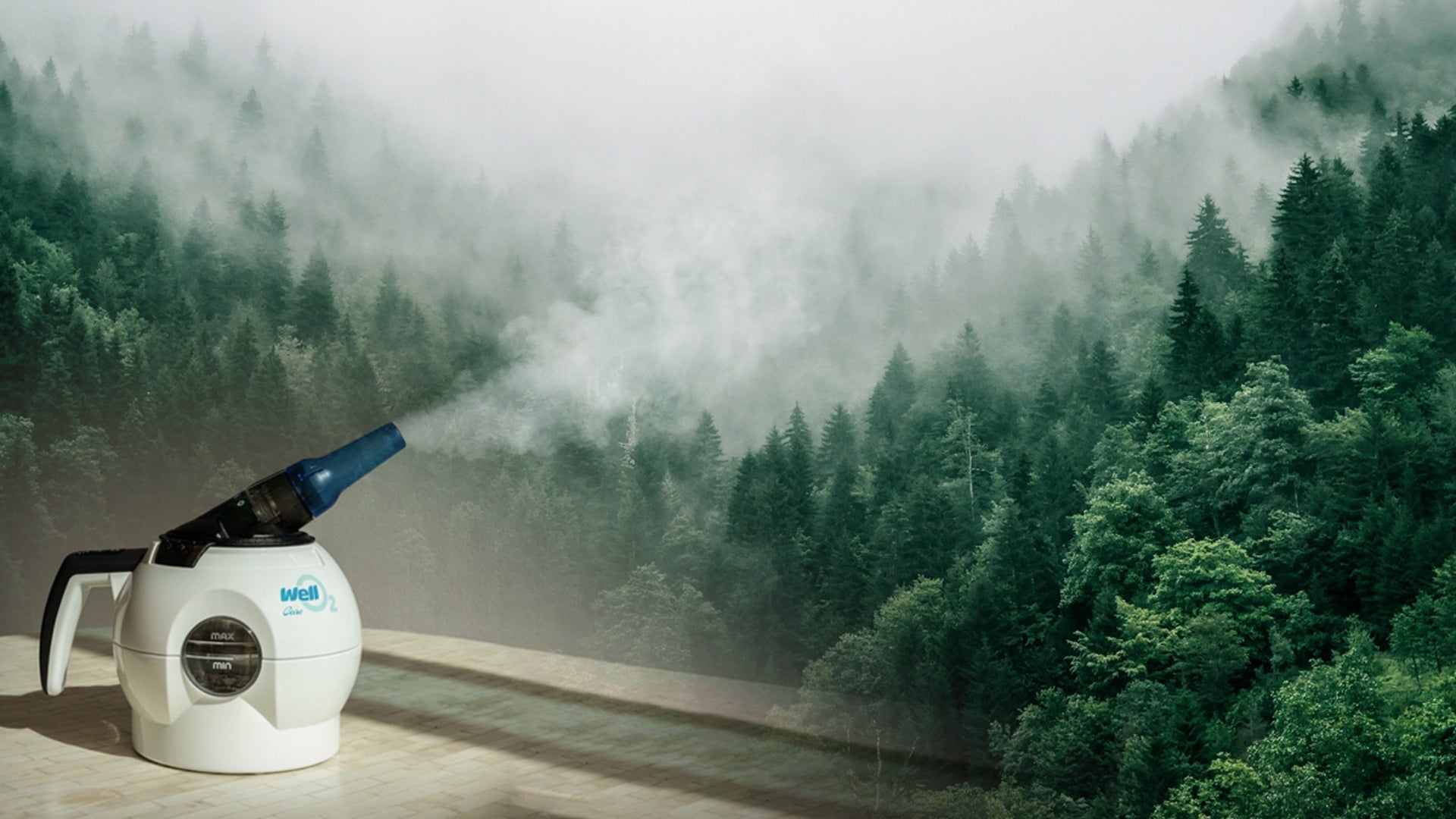 WellO2 Product Nature Steam