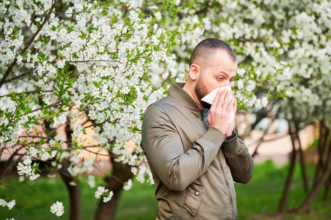 A man suffering from pollen under a blooming tree