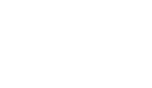 WellO2 White Logo